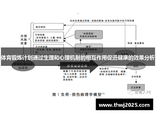 体育锻炼计划通过生理和心理机制的相互作用促进健康的效果分析